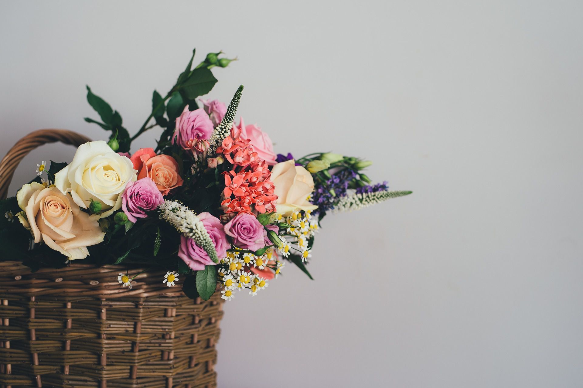 basket-1846135_1920