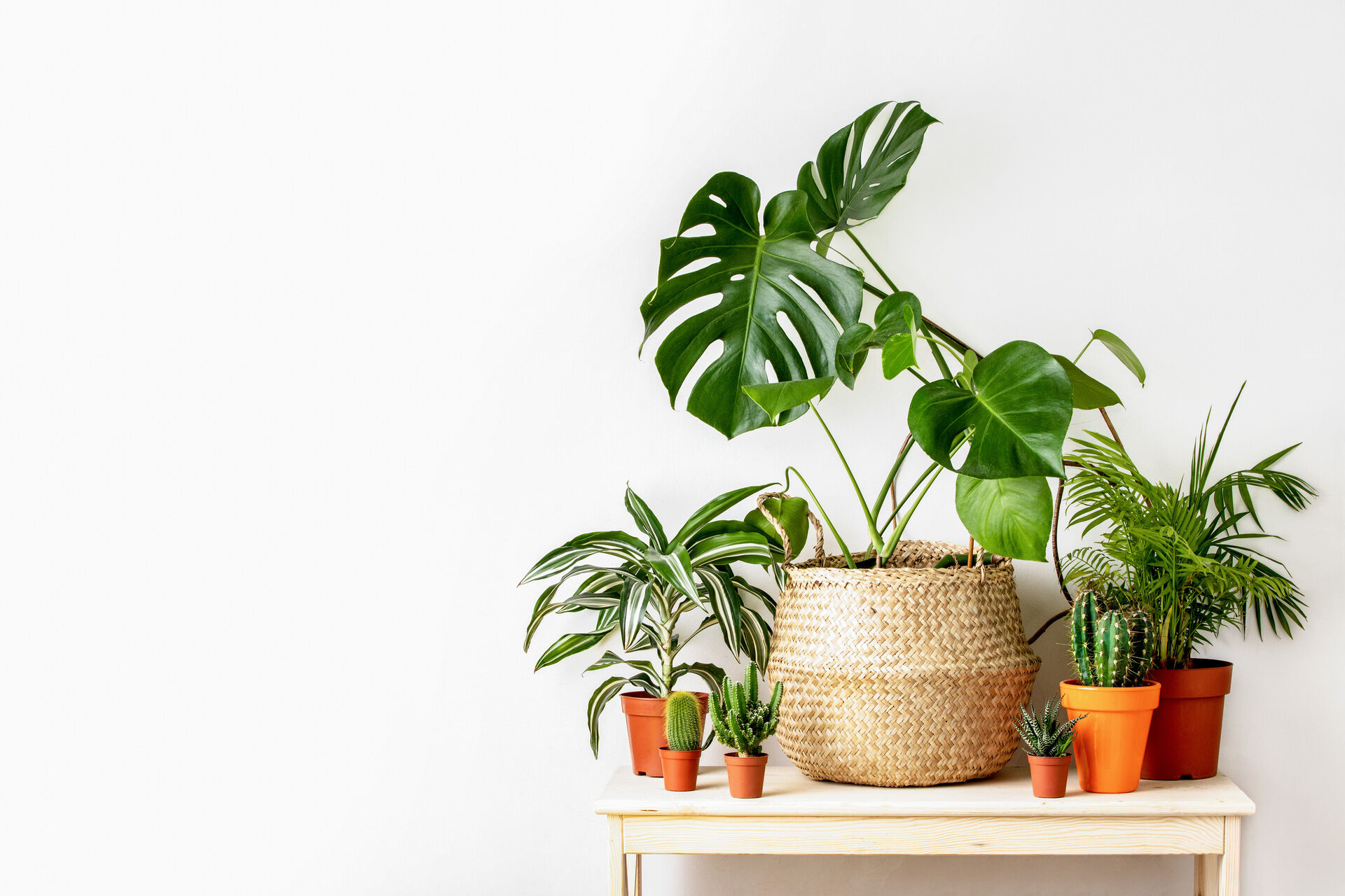 AdobeStock_318982945