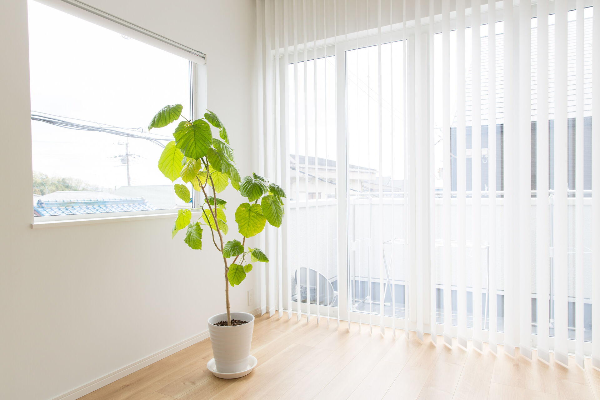 AdobeStock_178924382 (1)