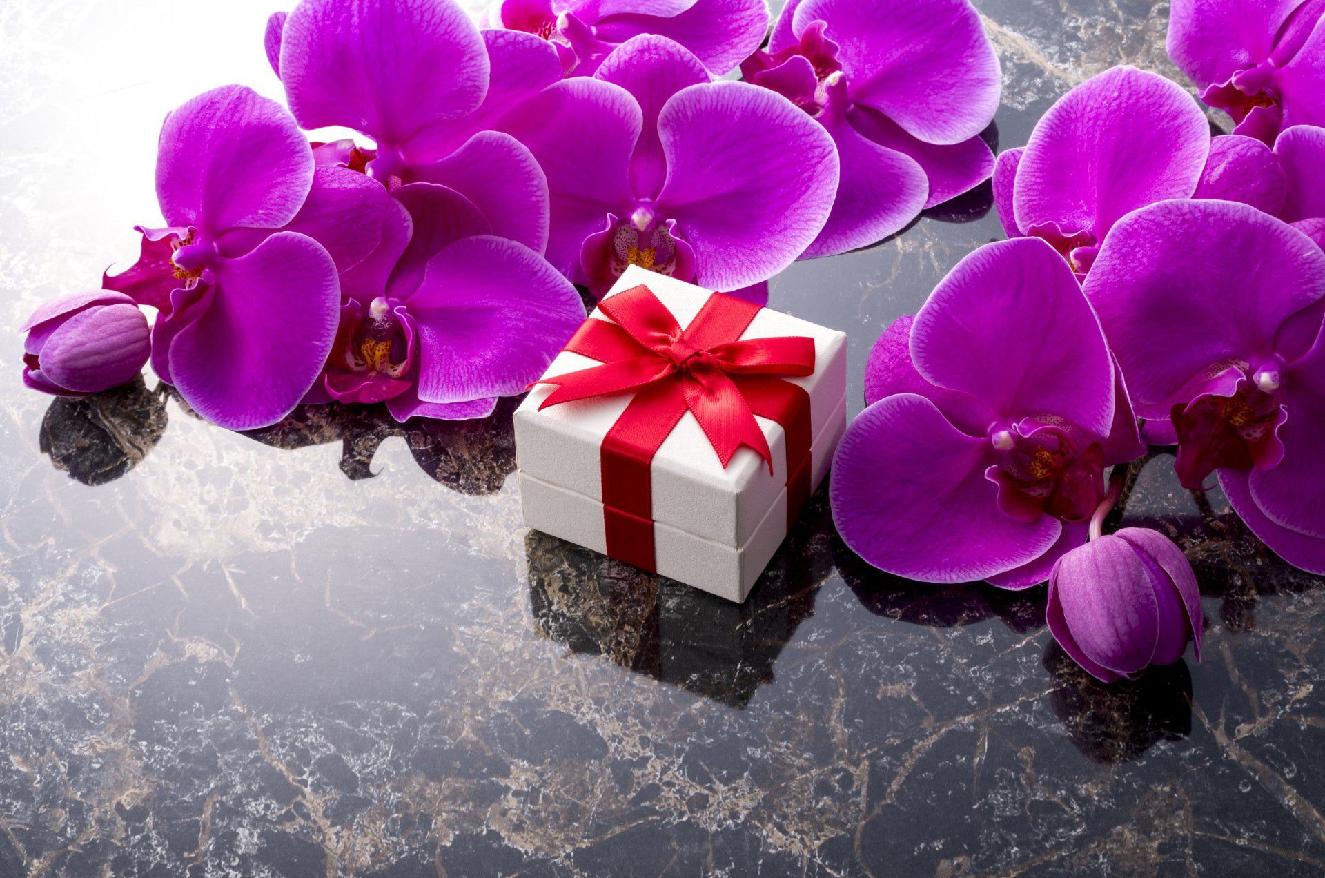 AdobeStock_106568516
