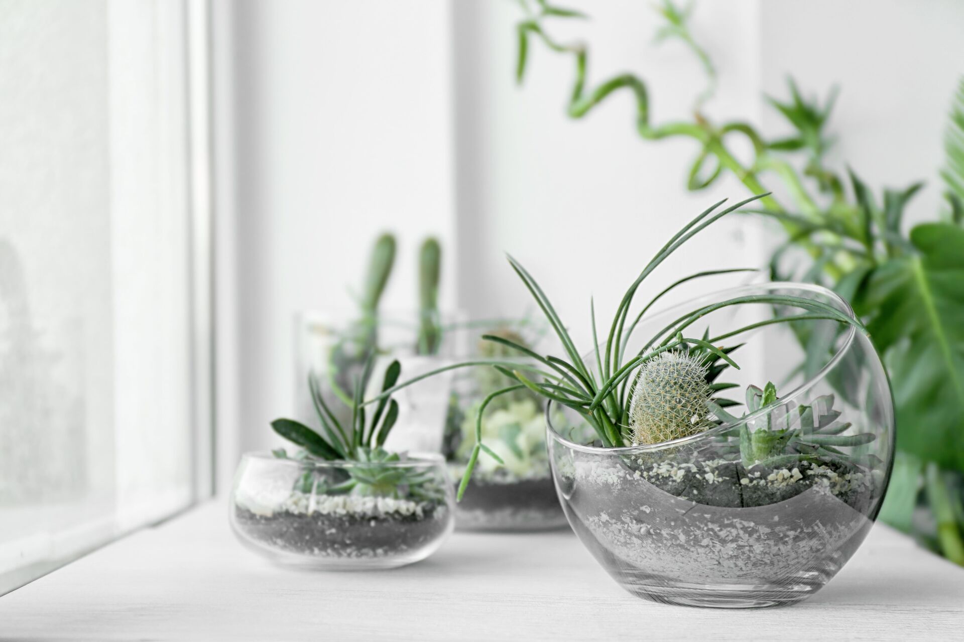 AdobeStock_139879156 (1)