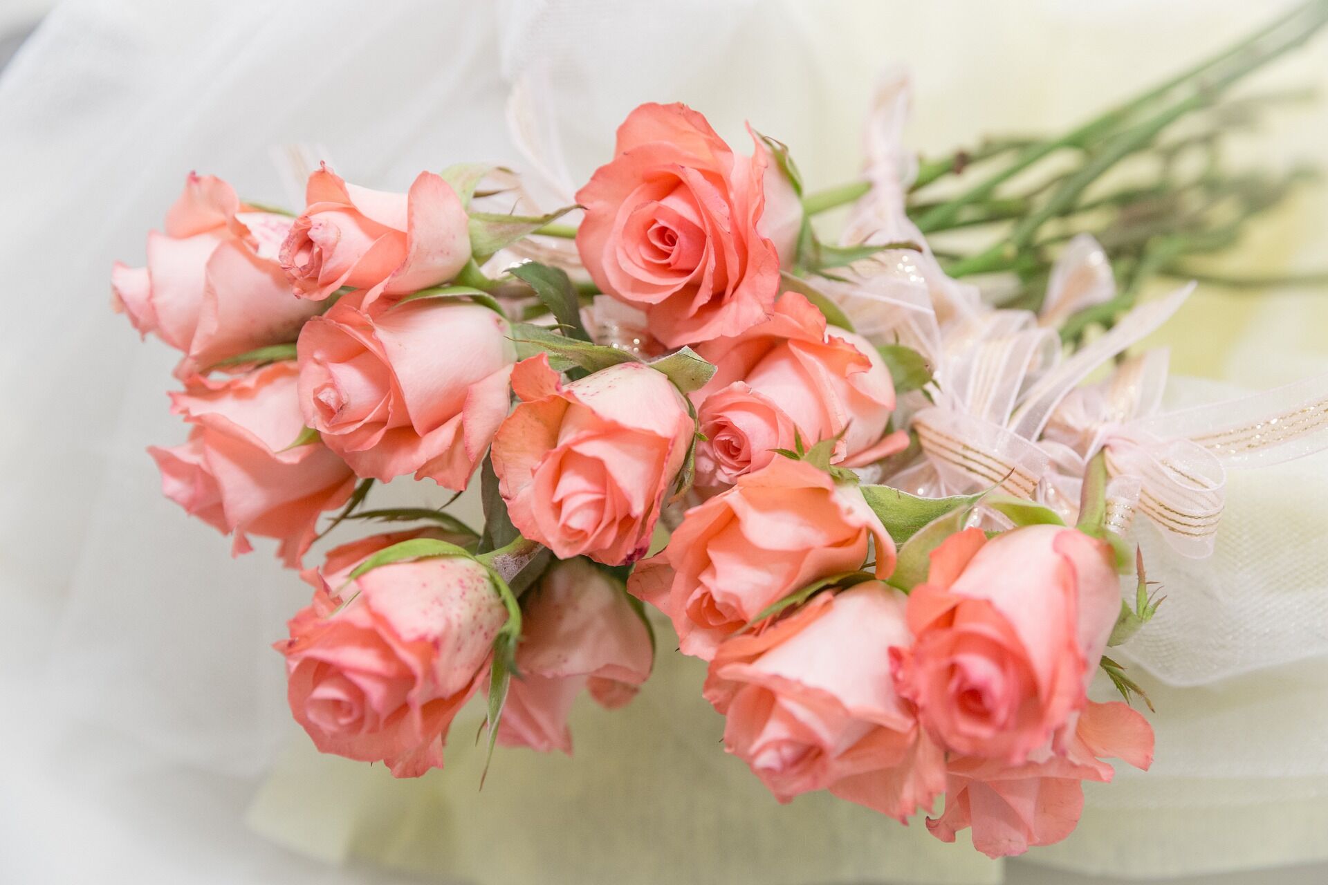flower-4721524_1920